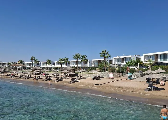 Apartment Spacious & Bright 2br Apartment, 5min To *